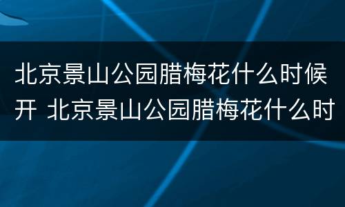 北京景山公园腊梅花什么时候开 北京景山公园腊梅花什么时候开放