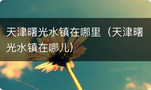 天津曙光水镇在哪里（天津曙光水镇在哪儿）