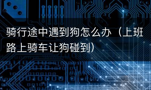 骑行途中遇到狗怎么办（上班路上骑车让狗碰到）