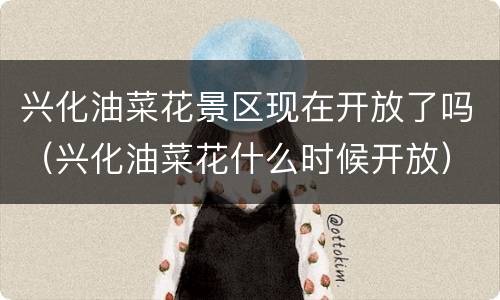兴化油菜花景区现在开放了吗（兴化油菜花什么时候开放）