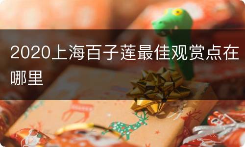 2020上海百子莲最佳观赏点在哪里
