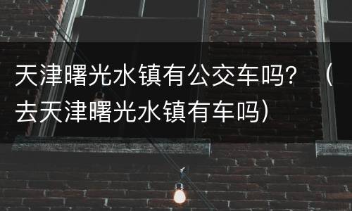 天津曙光水镇有公交车吗？（去天津曙光水镇有车吗）