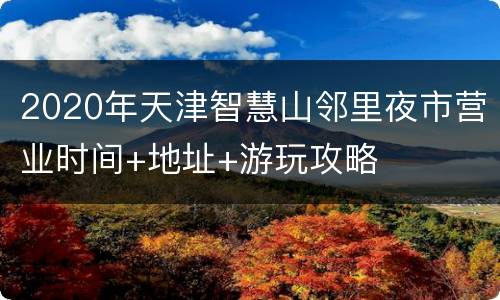 2020年天津智慧山邻里夜市营业时间+地址+游玩攻略