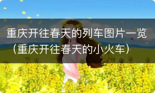 重庆开往春天的列车图片一览（重庆开往春天的小火车）