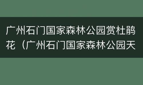 广州石门国家森林公园赏杜鹃花（广州石门国家森林公园天池花海）
