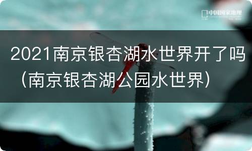 2021南京银杏湖水世界开了吗（南京银杏湖公园水世界）