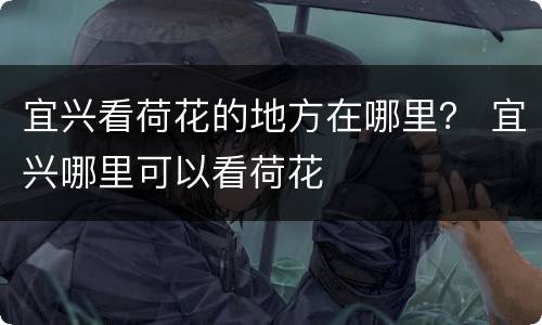 宜兴看荷花的地方在哪里？ 宜兴哪里可以看荷花