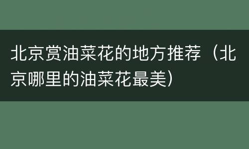 北京赏油菜花的地方推荐（北京哪里的油菜花最美）