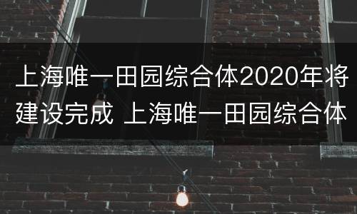 上海唯一田园综合体2020年将建设完成 上海唯一田园综合体2020年将建设完成什么工程