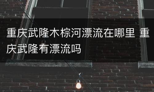 重庆武隆木棕河漂流在哪里 重庆武隆有漂流吗