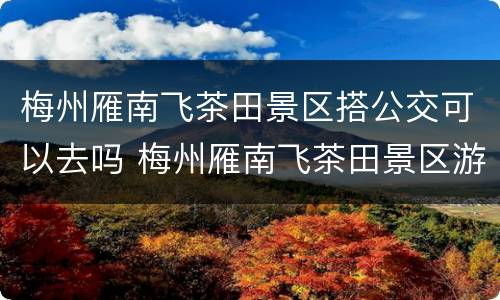 梅州雁南飞茶田景区搭公交可以去吗 梅州雁南飞茶田景区游玩攻略
