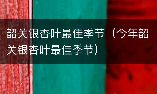 韶关银杏叶最佳季节（今年韶关银杏叶最佳季节）