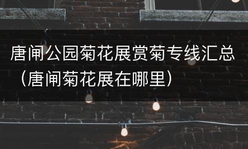 唐闸公园菊花展赏菊专线汇总（唐闸菊花展在哪里）