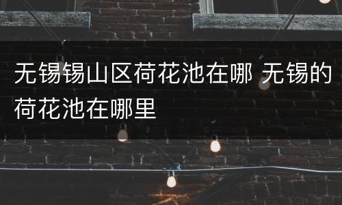 无锡锡山区荷花池在哪 无锡的荷花池在哪里