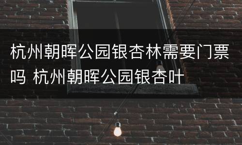 杭州朝晖公园银杏林需要门票吗 杭州朝晖公园银杏叶