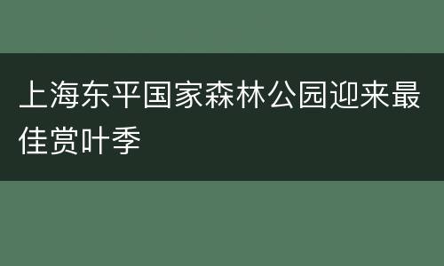 上海东平国家森林公园迎来最佳赏叶季