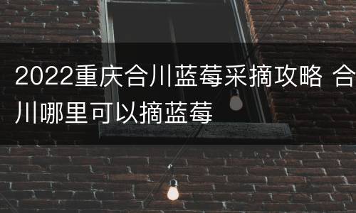2022重庆合川蓝莓采摘攻略 合川哪里可以摘蓝莓