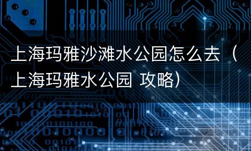 上海玛雅沙滩水公园怎么去（上海玛雅水公园 攻略）