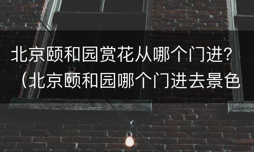北京颐和园赏花从哪个门进？（北京颐和园哪个门进去景色最好）