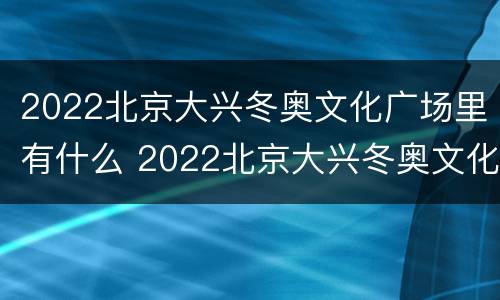 2022北京大兴冬奥文化广场里有什么 2022北京大兴冬奥文化广场里有什么项目