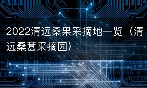 2022清远桑果采摘地一览（清远桑葚采摘园）