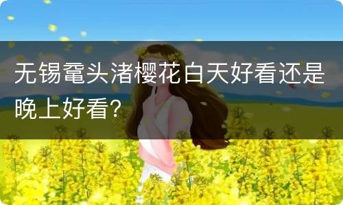 无锡鼋头渚樱花白天好看还是晚上好看？