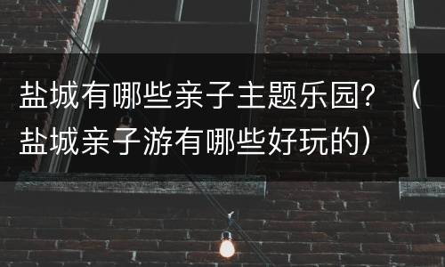 盐城有哪些亲子主题乐园？（盐城亲子游有哪些好玩的）