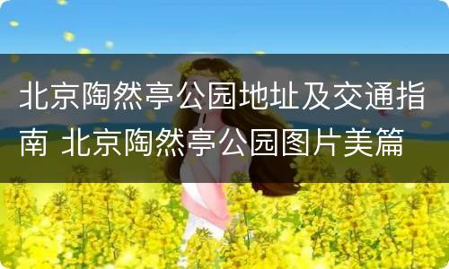 北京陶然亭公园地址及交通指南 北京陶然亭公园图片美篇