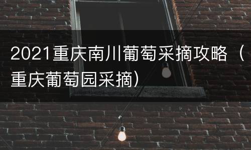 2021重庆南川葡萄采摘攻略（重庆葡萄园采摘）