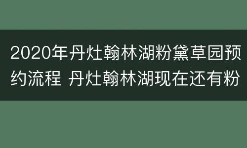 2020年丹灶翰林湖粉黛草园预约流程 丹灶翰林湖现在还有粉黛草看吗