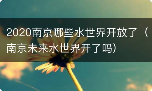 2020南京哪些水世界开放了（南京未来水世界开了吗）