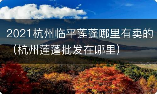 2021杭州临平莲蓬哪里有卖的（杭州莲蓬批发在哪里）