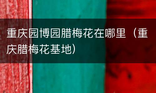 重庆园博园腊梅花在哪里（重庆腊梅花基地）