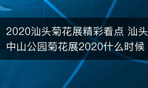 2020汕头菊花展精彩看点 汕头中山公园菊花展2020什么时候结束
