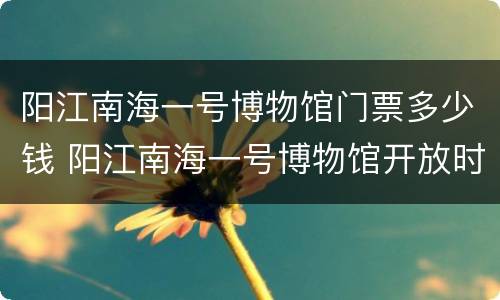 阳江南海一号博物馆门票多少钱 阳江南海一号博物馆开放时间