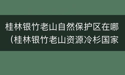 桂林银竹老山自然保护区在哪（桂林银竹老山资源冷杉国家级自然保护区管理处）