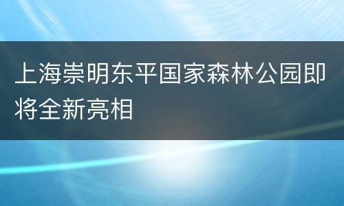上海崇明东平国家森林公园即将全新亮相