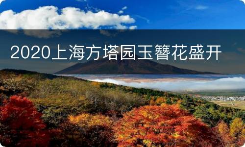 2020上海方塔园玉簪花盛开