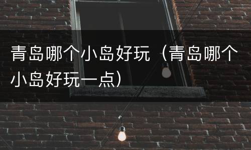 青岛哪个小岛好玩（青岛哪个小岛好玩一点）