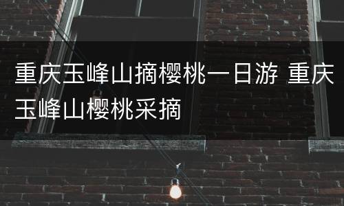 重庆玉峰山摘樱桃一日游 重庆玉峰山樱桃采摘