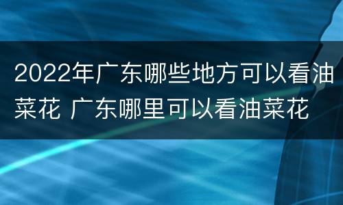 2022年广东哪些地方可以看油菜花 广东哪里可以看油菜花