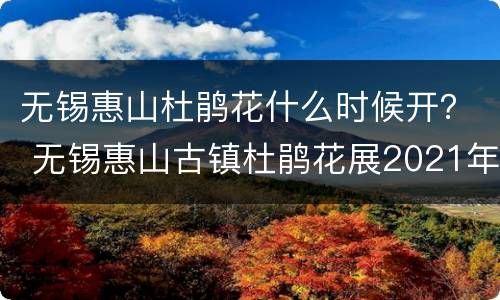 无锡惠山杜鹃花什么时候开？ 无锡惠山古镇杜鹃花展2021年