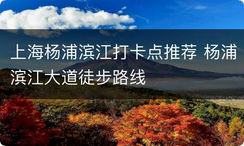 上海杨浦滨江打卡点推荐 杨浦滨江大道徒步路线