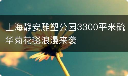 上海静安雕塑公园3300平米硫华菊花毯浪漫来袭