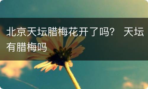 北京天坛腊梅花开了吗？ 天坛有腊梅吗