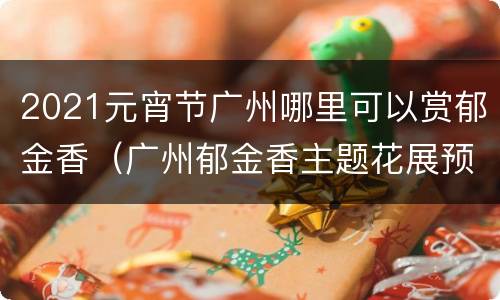 2021元宵节广州哪里可以赏郁金香（广州郁金香主题花展预约）