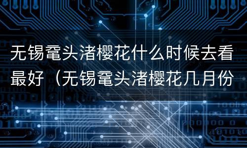 无锡鼋头渚樱花什么时候去看最好（无锡鼋头渚樱花几月份开）