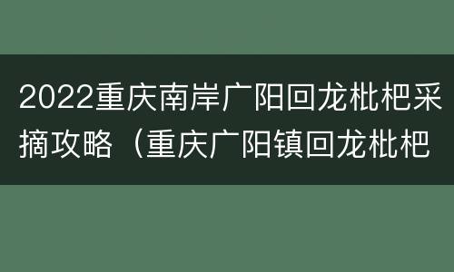 2022重庆南岸广阳回龙枇杷采摘攻略（重庆广阳镇回龙枇杷基地）
