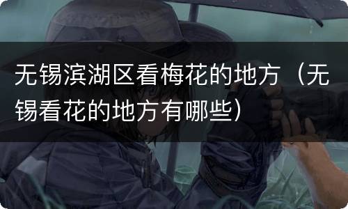 无锡滨湖区看梅花的地方（无锡看花的地方有哪些）