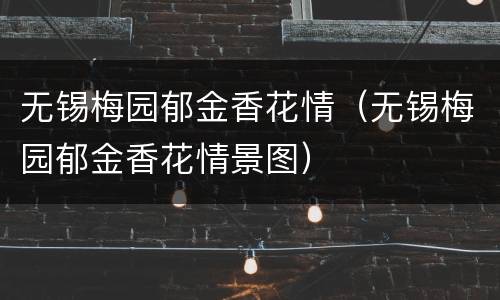 无锡梅园郁金香花情（无锡梅园郁金香花情景图）